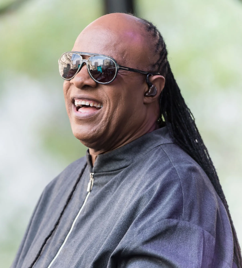 Stevie Wonder - Famous Black Musicians