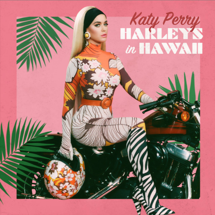 "Harleys in Hawaii" "Harleys in Hawaii"