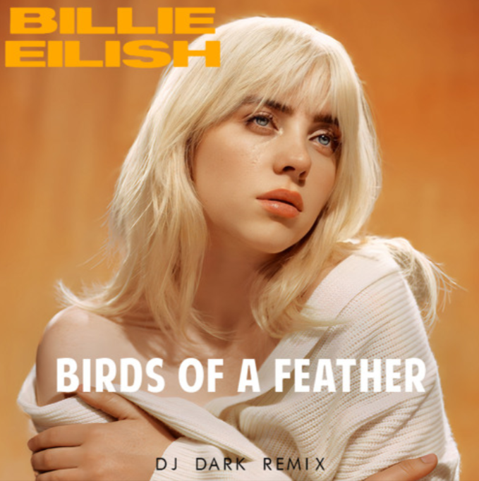 Birds of a Feather