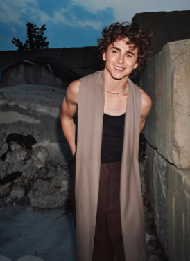Timothée Chalamet Timothée Chalamet