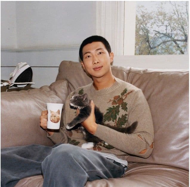 RM (BTS) RM (BTS)